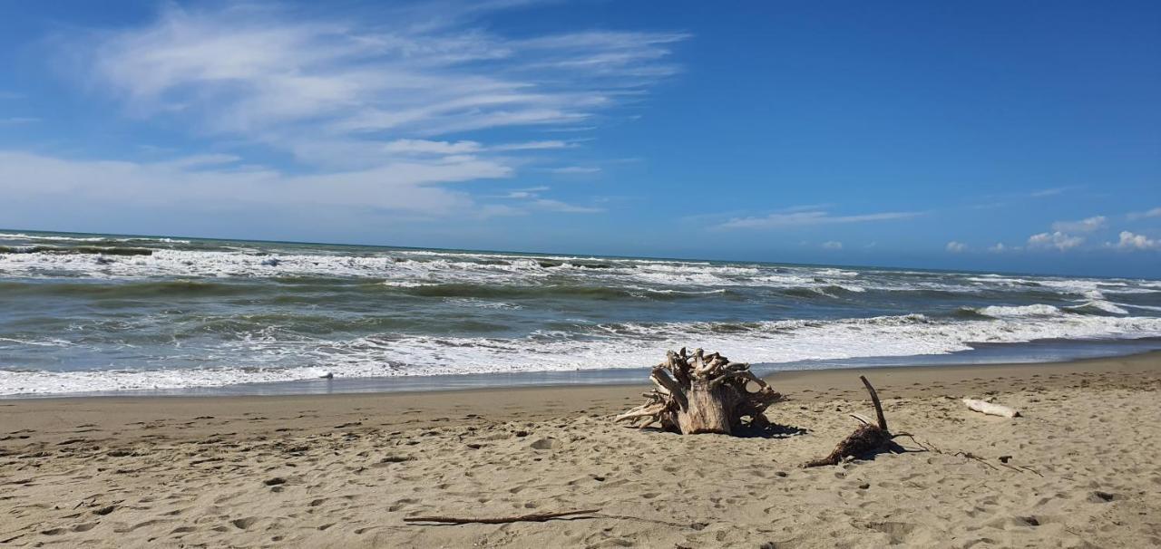 Domusauroom, Relax Nel Cuore Della Versilia - Pet Friendly Viareggio Esterno foto