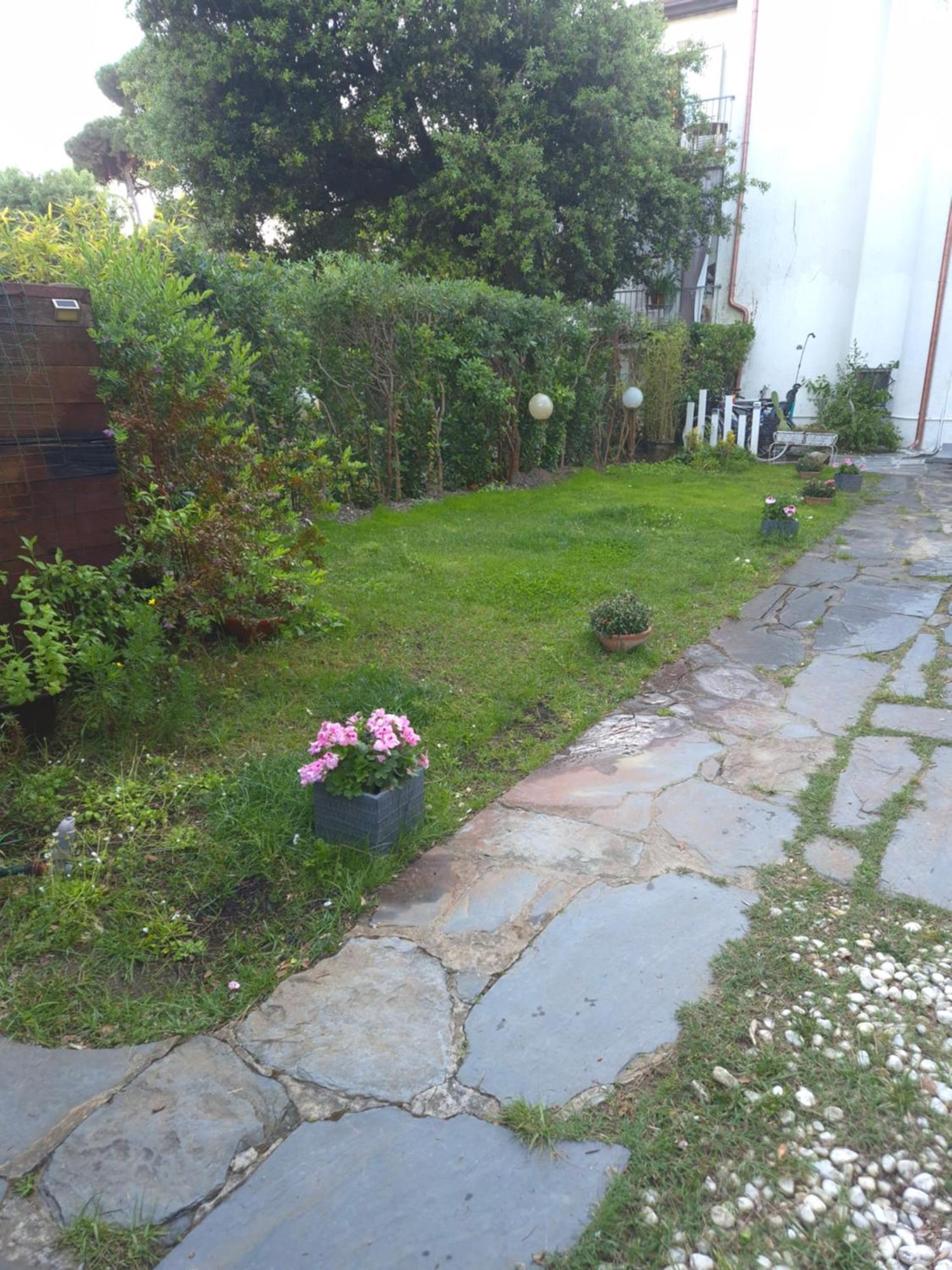 Domusauroom, Relax Nel Cuore Della Versilia - Pet Friendly Viareggio Esterno foto