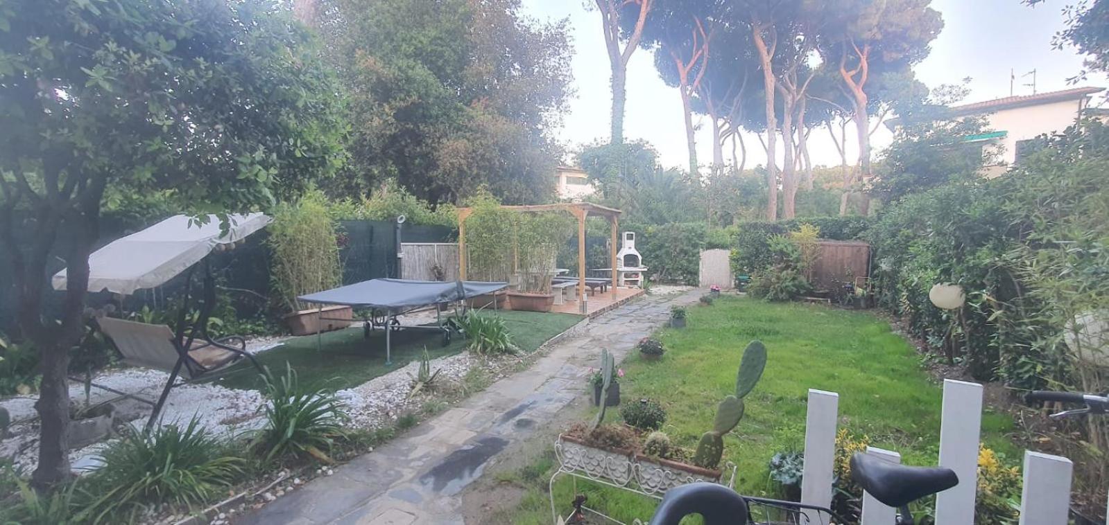 Domusauroom, Relax Nel Cuore Della Versilia - Pet Friendly Viareggio Esterno foto