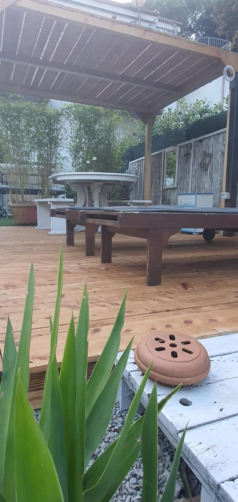 Domusauroom, Relax Nel Cuore Della Versilia - Pet Friendly Viareggio Esterno foto