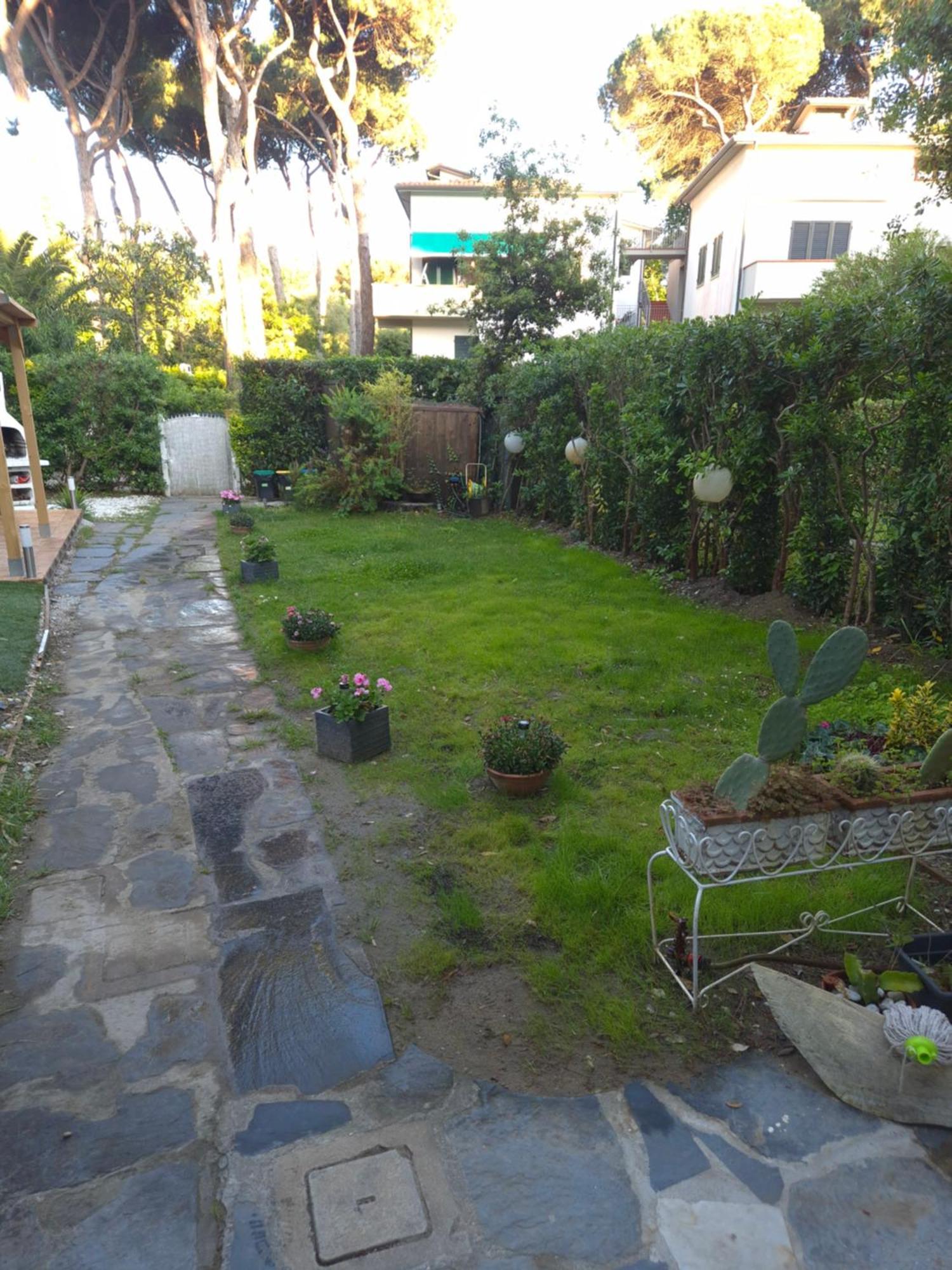 Domusauroom, Relax Nel Cuore Della Versilia - Pet Friendly Viareggio Esterno foto